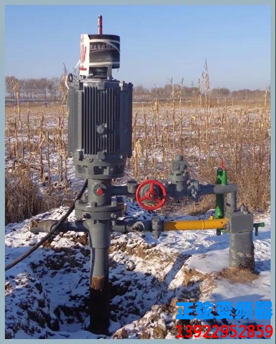 永磁同步电机直驱螺杆泵解决方案(图1) 永磁同步电机直驱螺杆泵解决方案(图1)